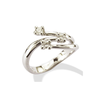 Ringe Gemoro Dame Trilogy in Weißgold Diamante FT106BIA25